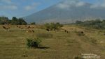 Gunung Rinjani yang Bikin Rindu