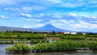 Seulawah dari kawasan Ulee Lheu, Banda Aceh
