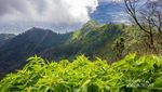 Gunung Telomoyo yang Kusambangi Waktu Itu