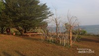 Pohon yang ada di tengah lokasi dengan bangku kayu dibawahnya , pengunjung bisa duduk-duduk sambil beristirahat dan menikmati pemandangan .