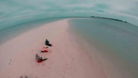 Pulau gusung sanggalau Derawan