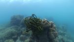 Habiskan Long Weekend Natal di Kepulauan Seribu
