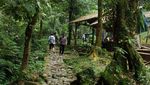 Hah, Ada Curug Ngumpet di Gunung Salak?