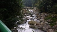 Aliran sungai dari Curug Ngumpet (pbase.com)