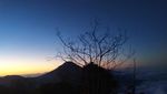 Hai Pendaki, Sudah Coba ke Gunung Bismo?