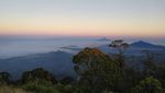 Hai Pendaki, Sudah Coba ke Gunung Bismo?