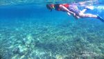 Hai, Si Cantik Raja Ampat