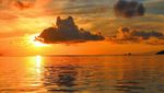 Hai, Si Cantik Raja Ampat