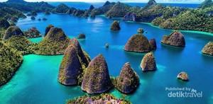 Hai, Si Cantik Raja Ampat