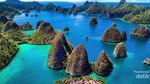 Hai, Si Cantik Raja Ampat