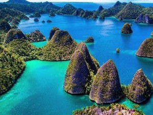 Hai, Si Cantik Raja Ampat