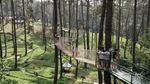 Halo! Selamat Pagi dari Lembang yang Sejuk