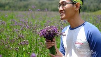 Boleh dipetik, tapi tidak boleh tercecer ya!