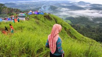 - Bukit Jamur