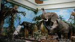 Hanya Punya Waktu Sebentar di Medan? Ke Museum Rahmat Saja