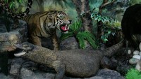 Komodo dan harimau yang terdapat pada Indonesian Species Room. Ada sekitar 98 hewan dari Indonesia di ruang pamer ini.