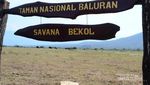 Harga Lengkap dari Fasilitas Taman Nasional Baluran