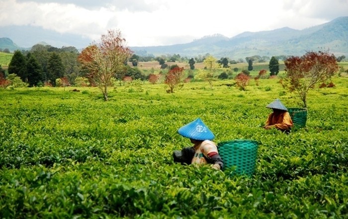 Hari Kesembilan - Tim 11 Jabar