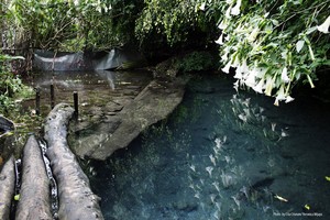 Harus Tahu! 3 Pesona Wisata di Hulu Sungai Citarum