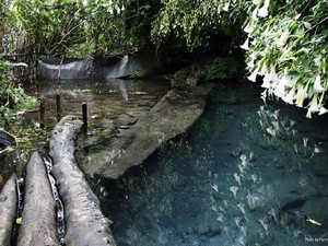 Harus Tahu! 3 Pesona Wisata di Hulu Sungai Citarum