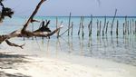 Hatiku Tertinggal di Karimunjawa