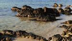 Hatiku Tertinggal di Karimunjawa