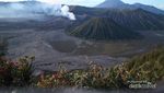 Hey Bromo, Aku Rindu!