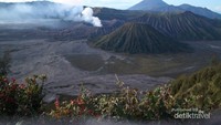 Pemandangan Gunung Bromo dari Bukit Gorilla