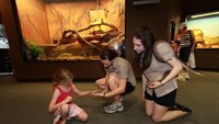 Dalam museum buaya (sumber: redballoon.com.au)