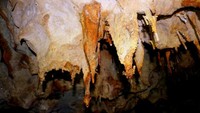 Stalagtit yang masih hidup