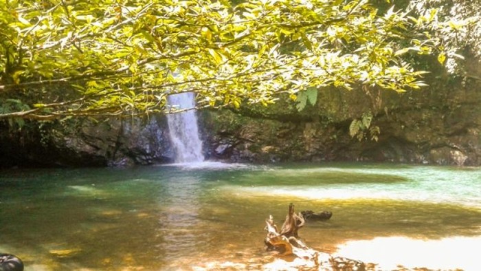 Hijaunya Alam Riau, Ini Bukit Rimbang dan Baling