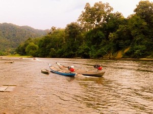 Hijaunya Alam Riau, Ini Bukit Rimbang dan Baling
