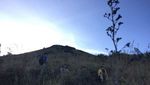 Hiking Menaklukkan Gunung Batur, Seru Abis!