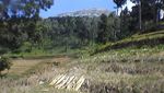 Hiking Menantang ke Gunung Sumbing