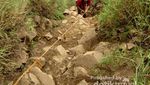 Hiking Pertama Kali? Coba Mendaki Gunung Batu Jonggol di Bogor