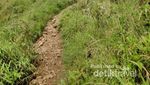 Hiking Pertama Kali? Coba Mendaki Gunung Batu Jonggol di Bogor