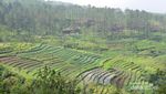 Hiking Sambil Wisata Sejarah di Candi Gedong Songo