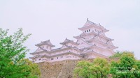 Himeji Castle yang dibangun untuk keperluan bertempur namun, di saat yang sama harus menunjukkan keindahan.