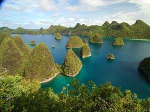 Hiu Dibantai, Turis Diminta Ikut Menjaga Raja Ampat