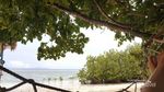 Homestay di Raja Ampat, Seperti Ini
