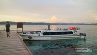 Laut di sekitar dermaga Arborek yang jernih dan cocok untuk snorkeling.