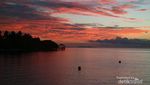 Homestay di Raja Ampat, Seperti Ini