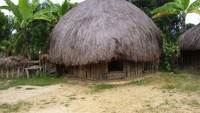 Rumah Honai (Sumber: brianabimanyu31.blogspot.com)