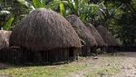Honai, Rumah Unik dari Lembah Baliem