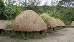 Honai, Rumah Unik dari Lembah Baliem