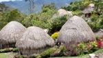 Honai, Rumah Unik dari Lembah Baliem