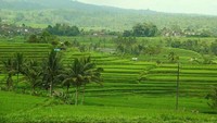 Ubud, Gianyar, Bali (Angela Jennifer Aroemrasni - dTraveler)