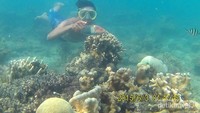 Ikan lewat tuh