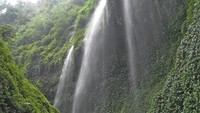 Hujan abadi di Madakaripura