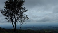 Keindahan alam perkebunan Teh Jamus